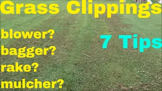 How to Deal with Grass Clippings in The Lawn