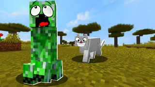 DLACZEGO CREEPERY BOJĄ SIĘ KOTÓW!? - Minecraft