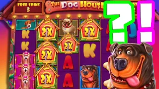 I DID NON STOP BONUS BUYS 🔥 ON THE DOG HOUSE 🐶 MEGAWAYS AND IT PAYED BIG BACK TO BACK 4 SCATTERS‼️