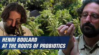 Henri Boulard at the roots of probiotics