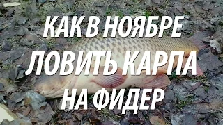 ЛОВЛЯ КАРПА НА ФИДЕР ПОЗДНЕЙ ОСЕНЬЮ. КАК ПОЙМАТЬ КАРПА В НОЯБРЕ НА ФЛЭТ МЕТОД