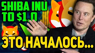 SHIBA INU КАК ИЛОН МАСК ПОМОЖЕТ ТОКЕНУ ДОСТИЧЬ $1 ВСЕГО ЛИШЬ $100 В SHIB ТЕБЯ СДЕЛАЮТ МИЛЛИОНЕРОМ!!!