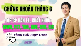 THÁNG 6: CP BÁN LẺ,  XUẤT KHẨU: MWG, MSN, PET, TNG, ANV, GVR, EIB | NHẬN ĐỊNH CHỨNG KHOÁN ĐÊM KHUYA