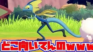 【ポケモン剣盾】キャンプのかけっこが始まったと思ったら想定外の事態にｗｗ