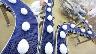 Amazing food processing machines at work | EGGS