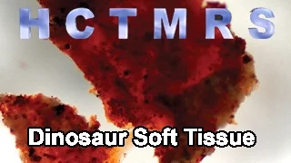 How Creationism Taught Me Real Science 21 Dinosaur Soft Tissue
