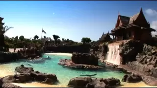 Siam Park Trailer