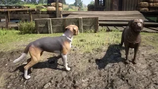 Playing as Animals in Red Dead Redemption 2 Vol.3 (PC Mod)