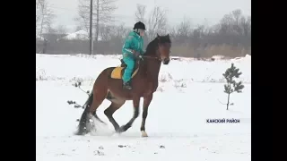 Юная наездница из Канска стала абсолютной чемпионкой Кубка края по конному спорту