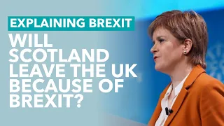 Will Scotland Leave the UK Because of Brexit? - Brexit Explained