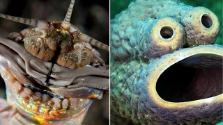 10 Creepy Sea Creatures You Didn't Know Existed! Top 10 Strangest Sea Creatures.