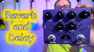 Reverb Delay Caline CP-80 "Ragnarok"