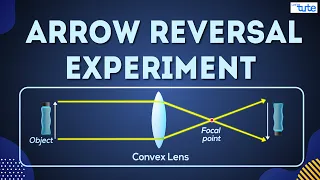 Arrow Reversing Experiment | Science Experiment | Letstute