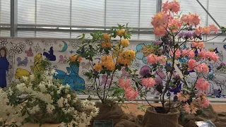 Экскурсия по Аптекарскому огороду. Выставка орхидей. Выставка рододендронов. 30 мая 2018.