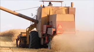 Najpiękniejszy film z prawdziwych POLSKICH Żniw, Bodzio Młóci!!!