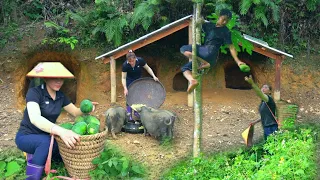 The process of harvesting papaya, jackfruit and corn. Expansion of CABIN as a WEDDING room