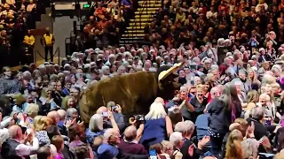 Andre Rieu - Beast Bull in Utilita Arena Sheffield 2024