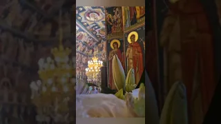 Suceava ,Monastery #worldgeodemo #viral #ortodox #romania #churchonline