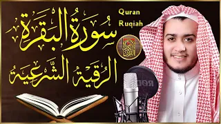 سورة البقرة القارئ علاء عقل - تلاوة خاشعة - Surah Al Baqarah Alaa Akl @tilawah-qurankarem