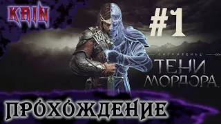 [ первый взгляд ] Middle-earth: Shadow of Mordor | прохождение | стрим #1