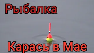 Рыбалка на поплавок 9 мая 2024 г на ручье!Полный сундук карася за ЧАС на удочку! Карась на червя!