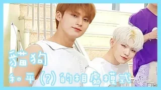 [SVT|珉奎Mingyu｜知勳Woozi] 貓狗和平(?)的相處模式合輯Part.1