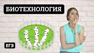 Биотехнология