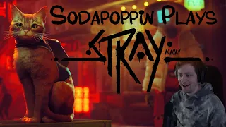 Sodapoppin Plays Stray