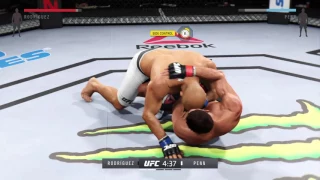 UFC Rodriguez vs. BJ Penn | Full fight