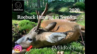 Roebuck Hunting in Sweden   I   Bockjakt 2020   I   Bukkejagt i Sverige 2020   I   MikRoHunt