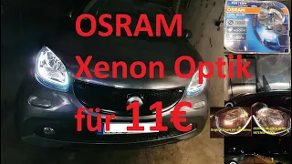 Smart 453 Glühbirne gegen OSRAM Xenon Optik 4200K COOL BLUE INTENSE