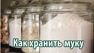 Как хранить муку в домашних условиях