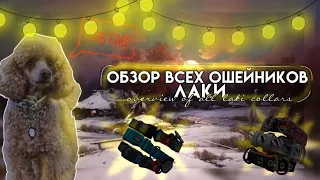 Обзор на все ошейники Лаки