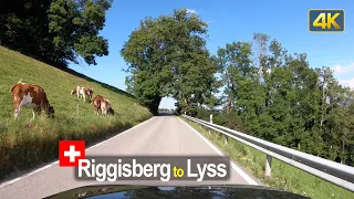 Driver's View: Riggisberg to Lyss, Canton of Bern - Switzerland 🇨🇭