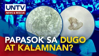 Epekto sa tao at mga isda ng nakitang microplastics sa Laguna Lake, pinangangambahan