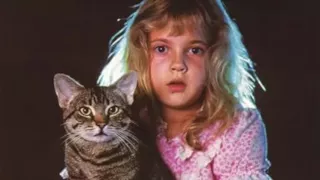 🎡 Фильмы о кошках ХХ века (топ 10) Movies about cats of the twentieth century (top 10)