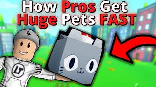 How PROS get HUGE Cats *FAST* on Pet Simulator X