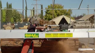 Here’s where Sacramento’s fallen trees are reborn