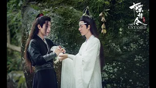 [FMV] Lam Trạm x Ngụy Anh | Trần tình lệnh | The Untamed 《陈情令》