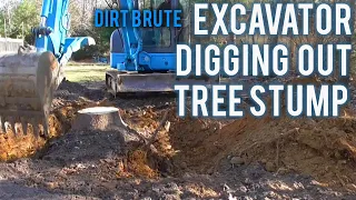 Excavator Digging Out A Tree Stump!