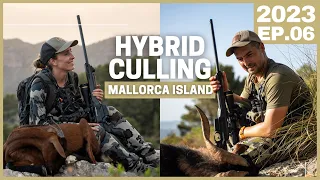 Hunting Hybrid Goats in Mallorca Island 💥 Culling with a 6.5 PRC Bergara Elevate Rifle💥