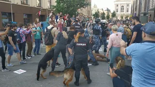 Москва, Митинг 27.07.2019  Бьют граждан, травят собаками.