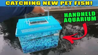 Handheld Mini Aquarium! Catching New Pet Exotic Fish