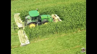 Mowing Sorghum Sudan Grass near Payne Ohio