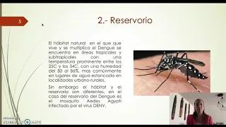 Dengue Cadena Epidemiológica