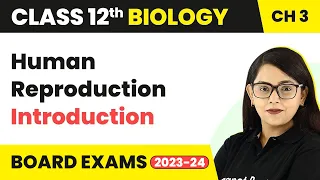 Class 12 Biology Chapter 3 | Human Reproduction - Introduction CBSE/NEET (2022-23)