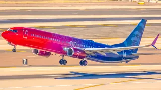 Plane Spotting Phoenix Sky Harbor | Special Liveries & Narrowbodies