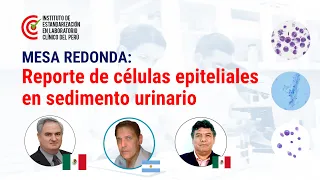 MESA REDONDA: Reporte de células epiteliales en sedimento urinario