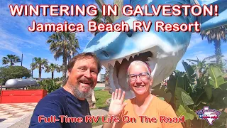 Embrace the Tropical Winter: Full Time RV Life in Galveston TX