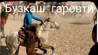 Бузкаш  гаровти   жуда  зорболди